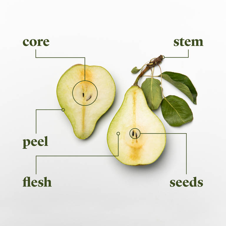 The Anatomy of a Pear: A Symphony of Nutrients Beneath the Skin