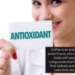 The Antioxidant Powerhouse: Why Coffee is a Top Source of Nutrients in the Modern Diet