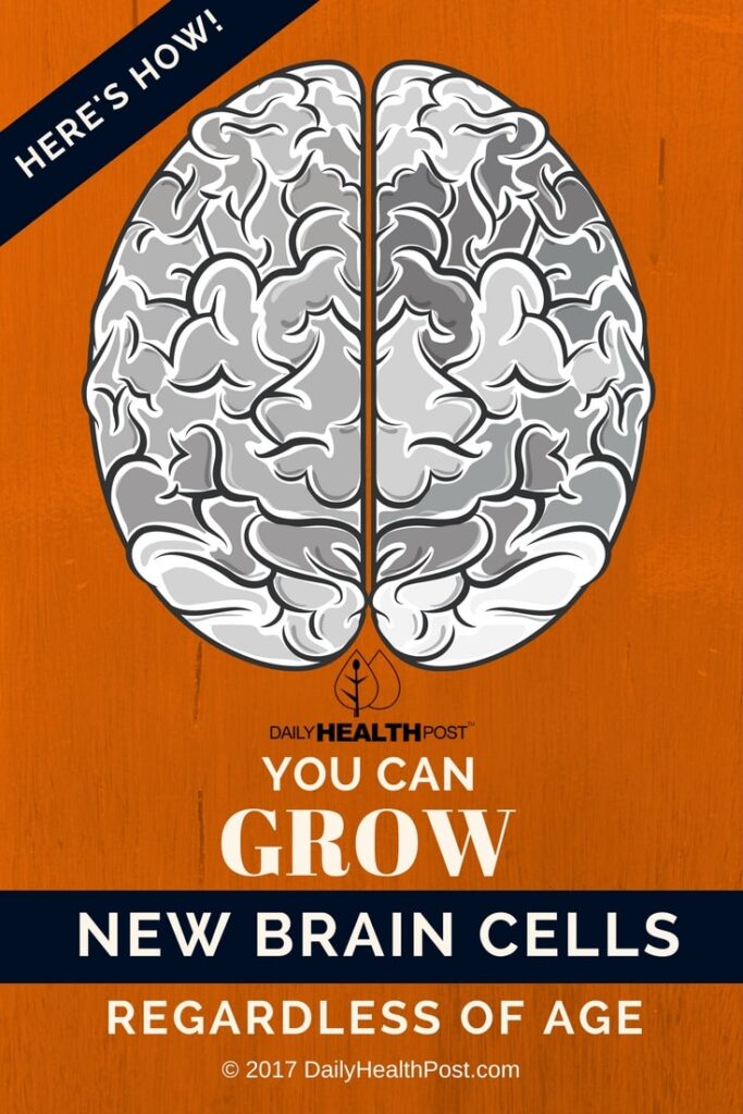 The Brain’s Secret Garden: Can You Actually Grow New Brain Cells Through Cardio?