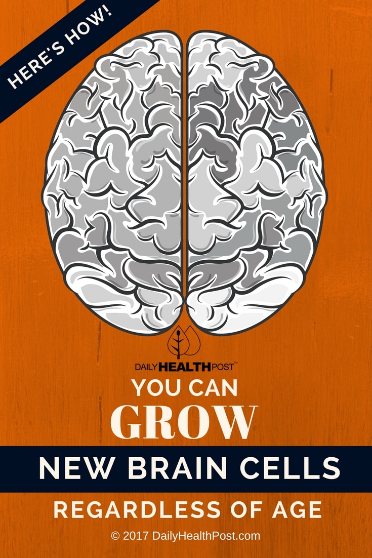 The Brain’s Secret Garden: Can You Actually Grow New Brain Cells Through Cardio?