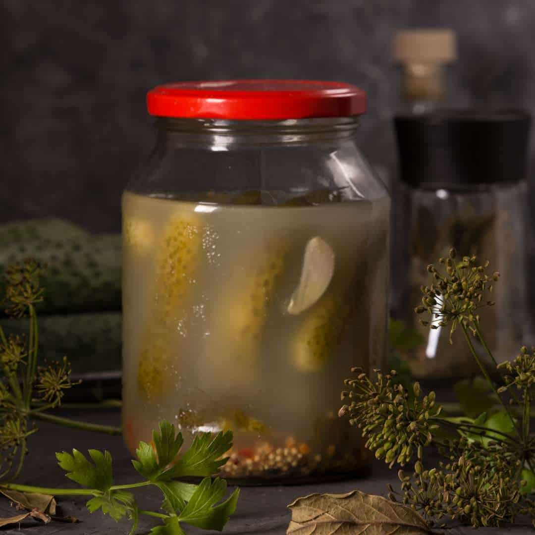 The Brine Whisperers: How the Humble Pickle Can Help Quiet the Roar of Appetite
