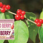 The Crimson Elixir: Unraveling the Tale of the Tiny Red Berry That Conquers Muscle Soreness and Oxidative Stress