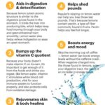 The Daily Golden Elixir: Unveiling the Story Your Body Tells When You Drink Lemon Water