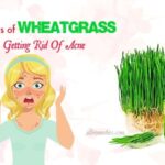 The Emerald Alchemy: Unveiling The Glow-Up Juice and How Wheatgrass Can Transform Your Skin and Energy