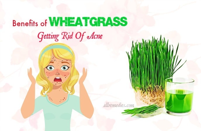 The Emerald Alchemy: Unveiling The Glow-Up Juice and How Wheatgrass Can Transform Your Skin and Energy