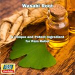The Emerald Guardian: Wasabi’s Ancient Secret as a Potent Antimicrobial Agent