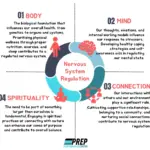 The Emotional Anchor: How Physical Touch Regulates the Nervous System