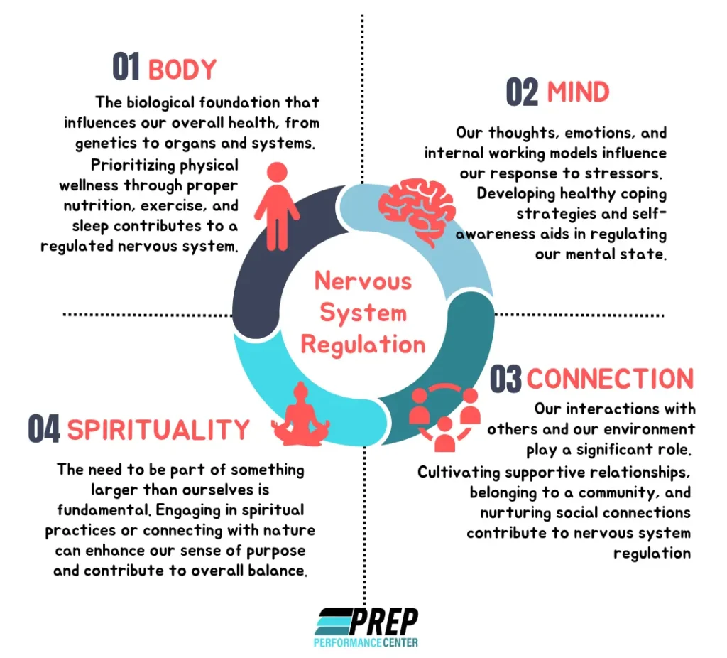 The Emotional Anchor: How Physical Touch Regulates the Nervous System