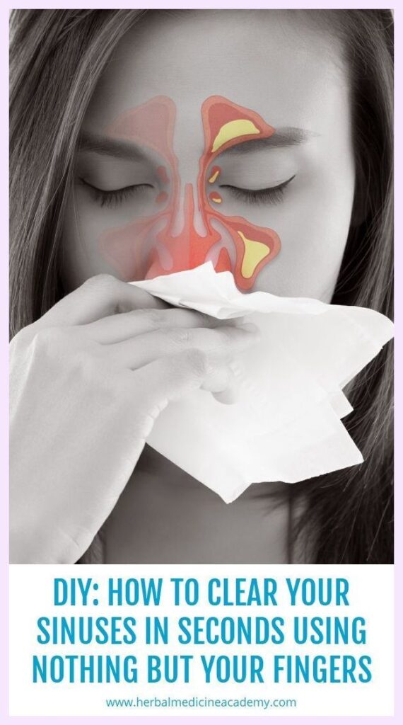 The Fiery Breath and Silent Guardian: Unveiling Wasabi’s Dual Power for Sinuses and Gut