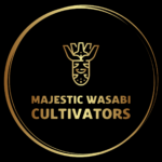 The Fiery Healer: Wasabi, Inflammation, and the Unveiling of its Bioactive Arsenal