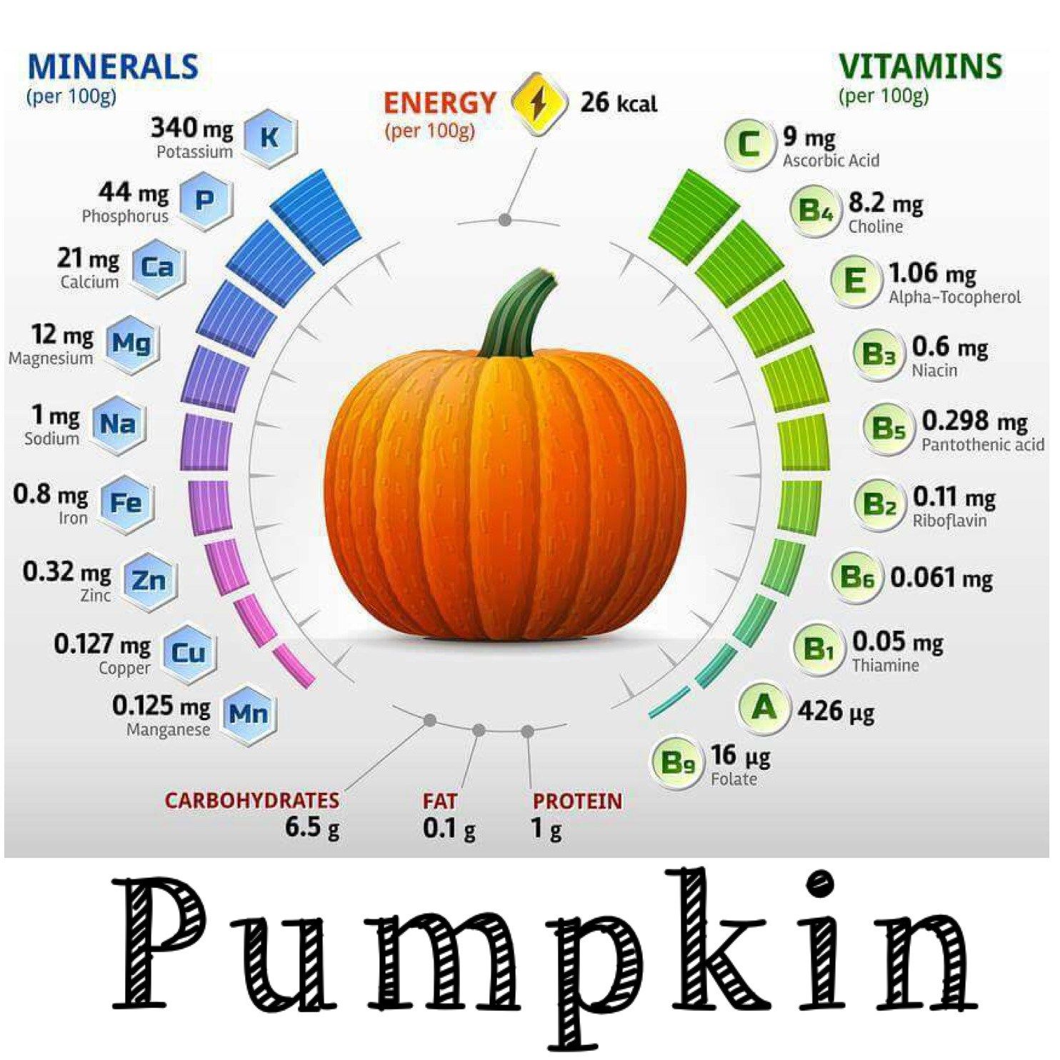 The Golden Gaze: How Pumpkin’s Vitamin A Illuminates and Protects Your World