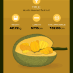 The Grand Paradox: Where the World’s Biggest Fruit Meets the World’s Best BBQ – A Guide to Jackfruit
