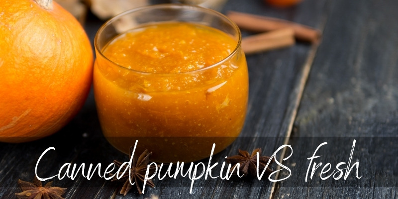 The Great Pumpkin Debate: Fresh vs. Canned – Which is Healthier? A Culinary Expedition