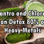 The Green Alchemist: Can Wheatgrass Help Flush Out Heavy Metals?
