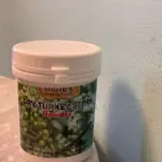The Green Whisper: How Turkey Berries Naturally Combat Anemia – A Story of Ancient Wisdom and Modern Science