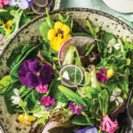 The Longevity Leaf: Why Salad Eaters Live Longer, According to Research