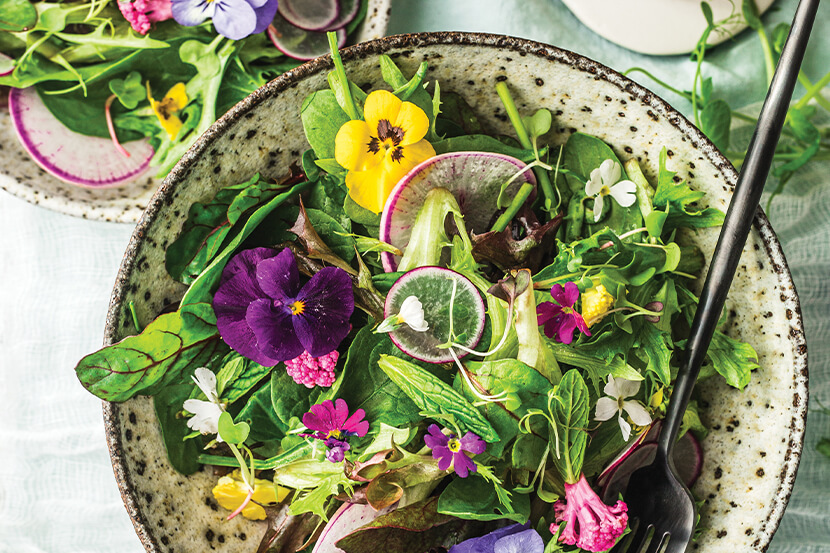 The Longevity Leaf: Why Salad Eaters Live Longer, According to Research