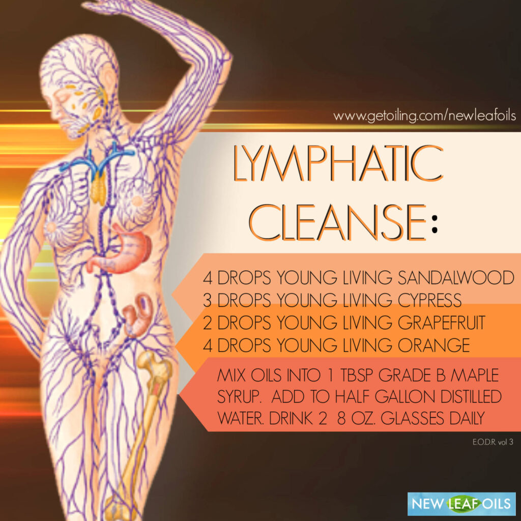 The Lymphatic Flush: Understanding How Your Brain Cleans Itself While You Dream