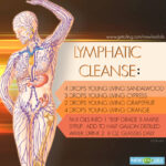 The Lymphatic Flush: Understanding How Your Brain Cleans Itself While You Dream