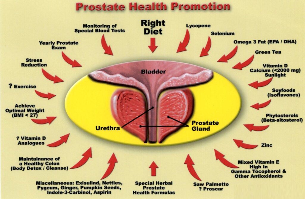 The Modern Man’s Guide to Eating for Prostate Health: A Culinary Odyssey Towards Vitality