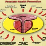 The Modern Man’s Guide to Eating for Prostate Health: A Culinary Odyssey Towards Vitality