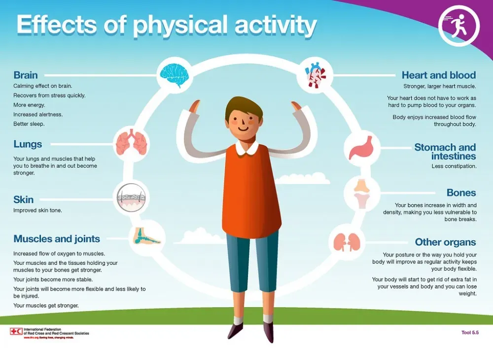 The Movement Connection: How Regular Exercise Impacts Breast Tissue Health