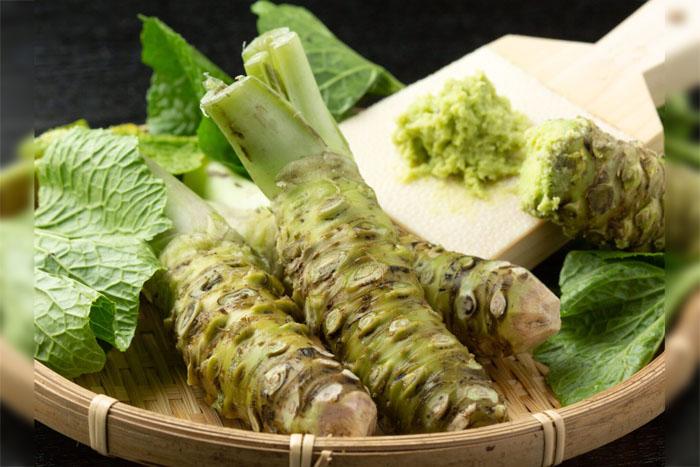 The Neuroprotective Kick: Can Wasabi Help Preserve Cognitive Function?