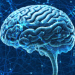 The Neuroprotective Power of Vanilla: Can It Help Shield Your Brain?