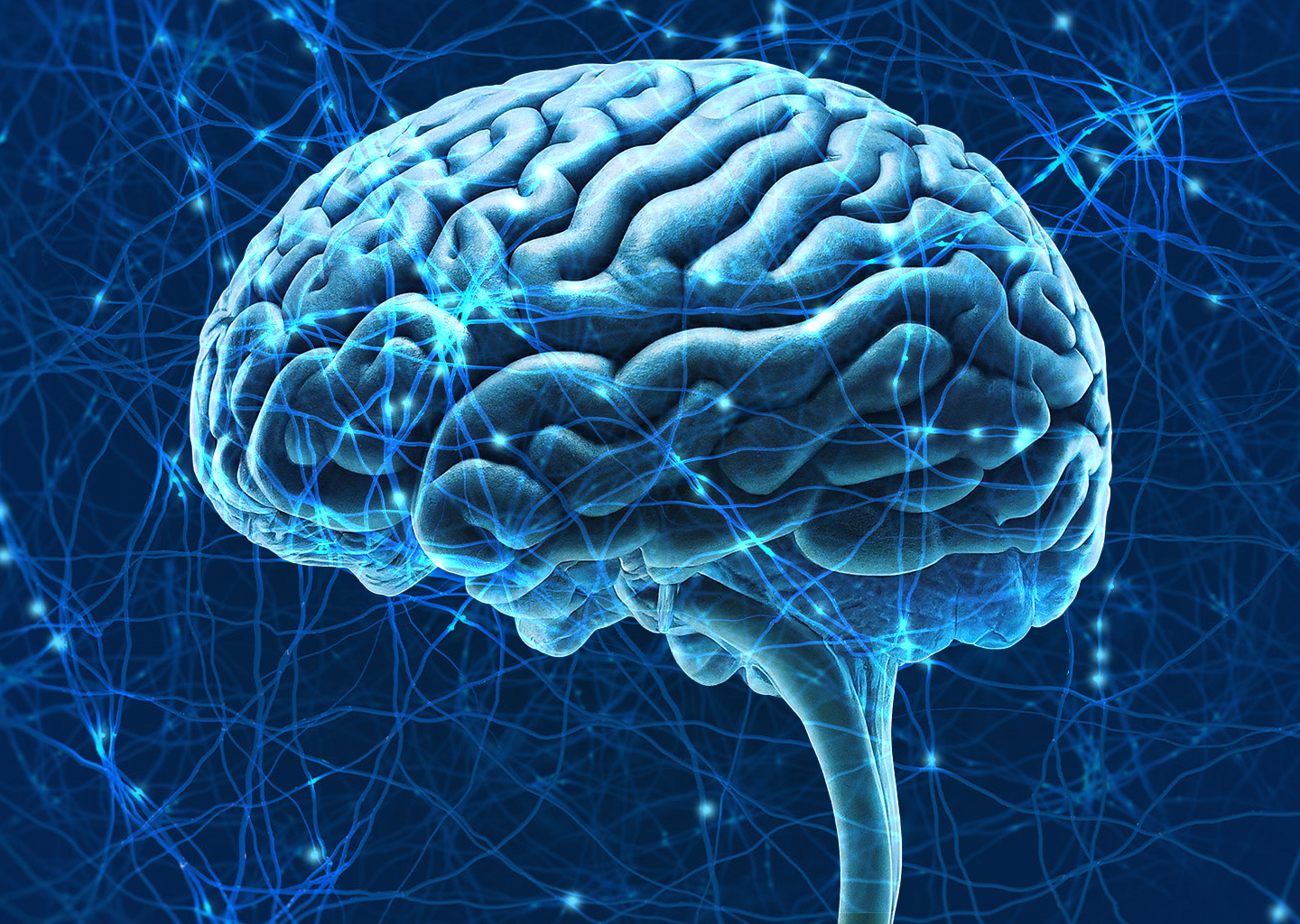 The Neuroprotective Power of Vanilla: Can It Help Shield Your Brain?