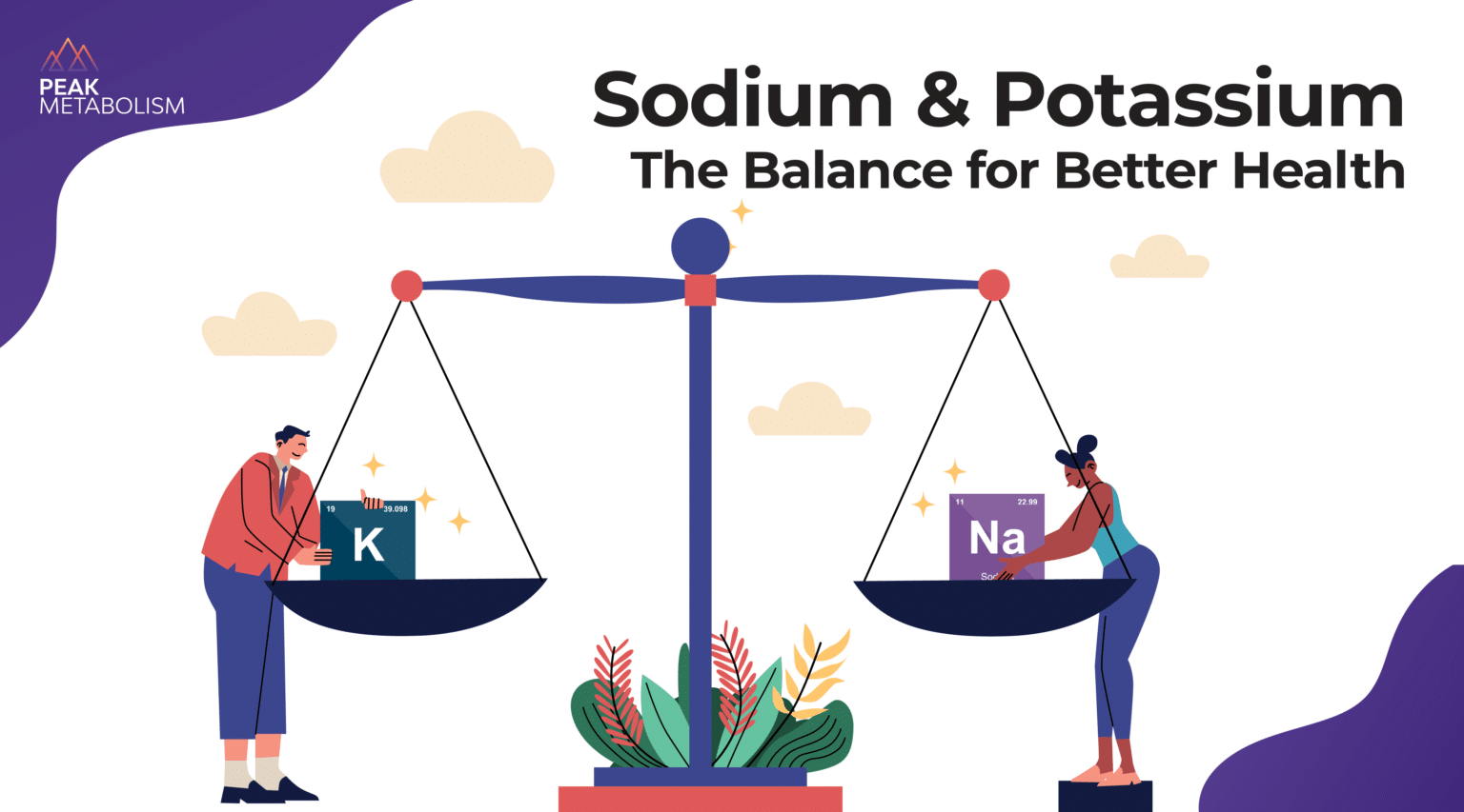 The Salty Siren’s Song: Navigating The Sodium Debate in a World of Snacks