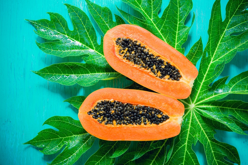 The Unfolding Story of Comfort: Why Papaya is Nature’s Best Antacid