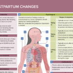 The Unseen Metamorphosis: Navigating the Normalcy of Postpartum Nipple Changes