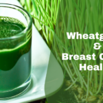 The Verdant Elixir: Why 2 Ounces of Wheatgrass is the Ultimate Morning Ritual for a Transformed Life