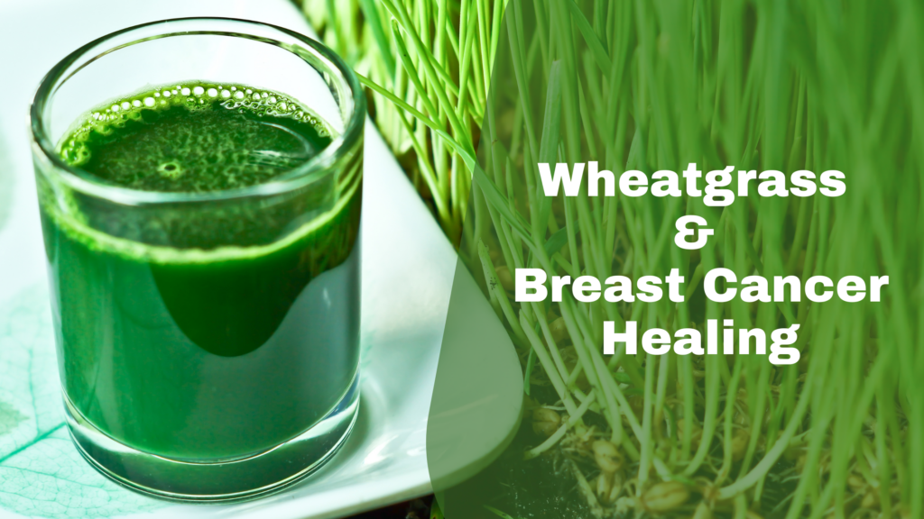 The Verdant Elixir: Why 2 Ounces of Wheatgrass is the Ultimate Morning Ritual for a Transformed Life