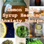 The Whisper of Melissa: How Lemon Balm Calms Anxiety Naturally, A Story of Ancient Wisdom and Modern Science