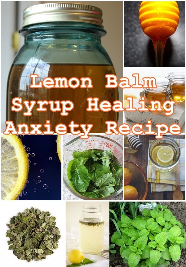 The Whisper of Melissa: How Lemon Balm Calms Anxiety Naturally, A Story of Ancient Wisdom and Modern Science