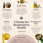 The Whispers of a Ancient Healer: How Tea Tree Oil Supports Respiratory Health