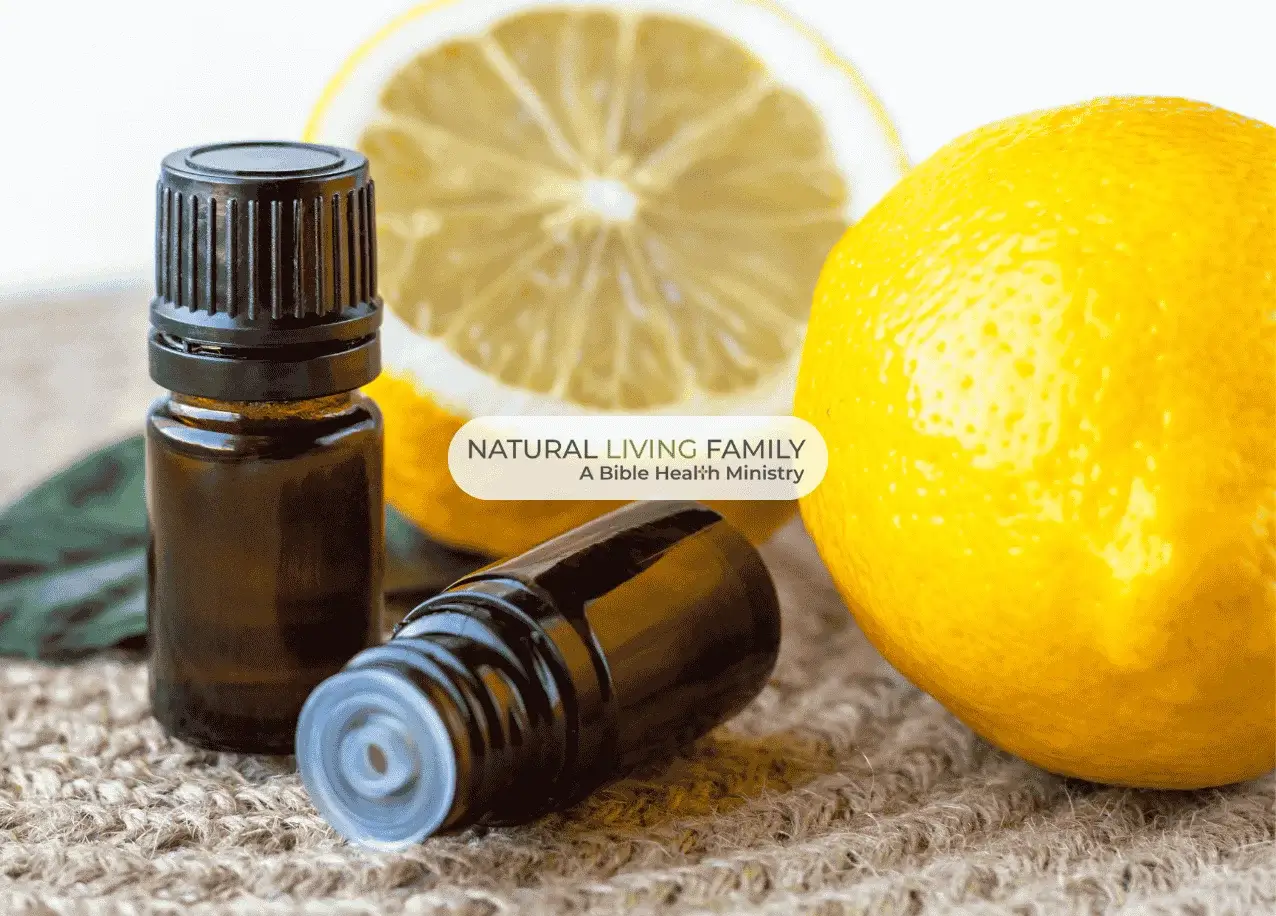 Zest for Life: 5 Simple Ways to Incorporate More Lemon into Your Wellness Routine