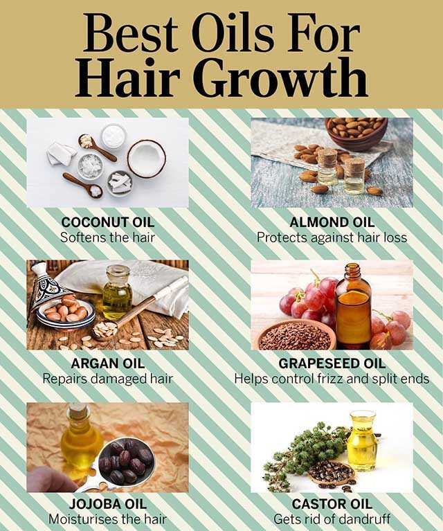 The Emerald Canopy: Unearthing the Ancient Secrets of Nut Oils for Hair Growth and Scalp Vitality