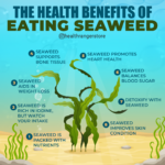 The Ocean’s Whisper: Can Eating Seaweed Actually Improve Your Skin?