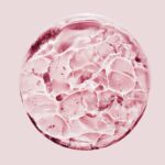The Science of Pink: What Astaxanthin Is and Why Your Body Needs It