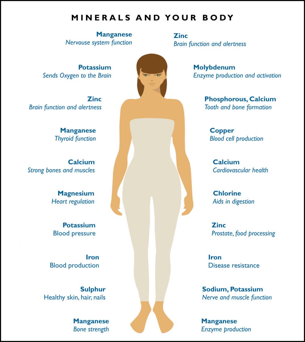 The Unseen Architects: How Essential Minerals Build Your Body’s Infrastructure