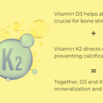 The Unsung Maestro: Why Vitamin K2 is the Real Key to Strong Bones